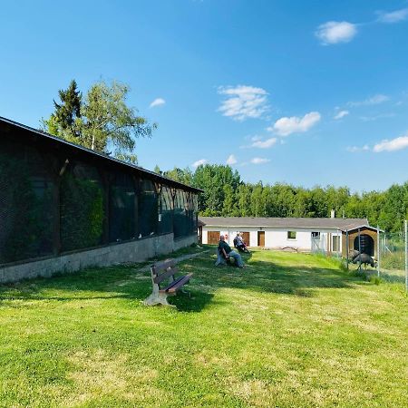 Garni Hotel Pyramida Cheb Bagian luar foto